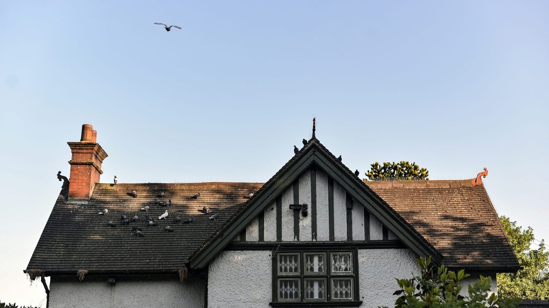 Storm Damage Repair service in Dallas-Fort Worth